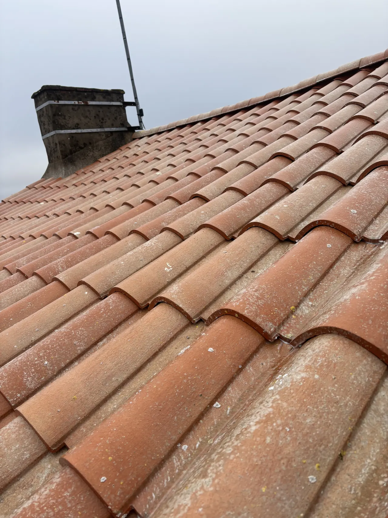 Remplacement de tuiles endommagées
